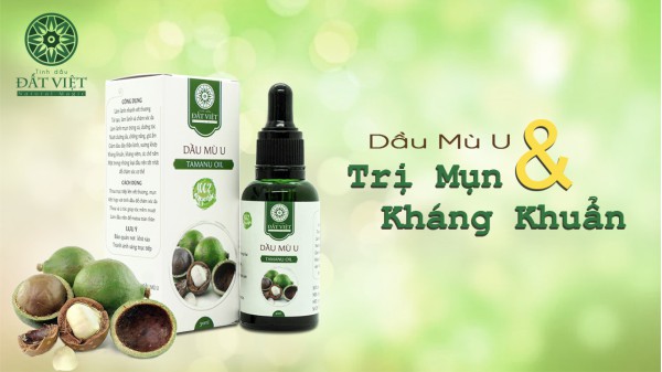 Top Công Dụng Dầu Mù U ( Tamanu Oil) Với Làm Đẹp Da